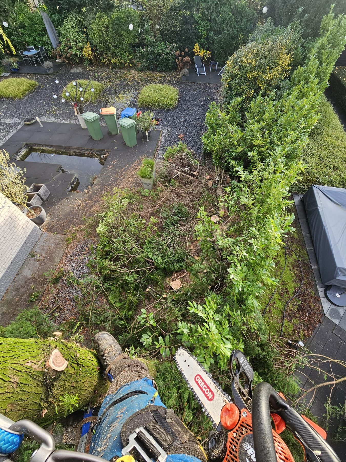 Zicht vanuit de boom op een krappe achtertuin tijdens snoeiwerk