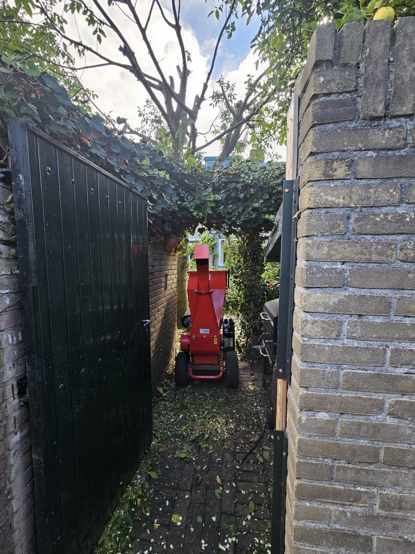 Stobbenfrees in een smalle doorgang naast een woning
